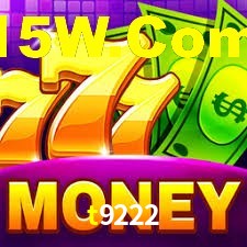 Premium Interface t9222